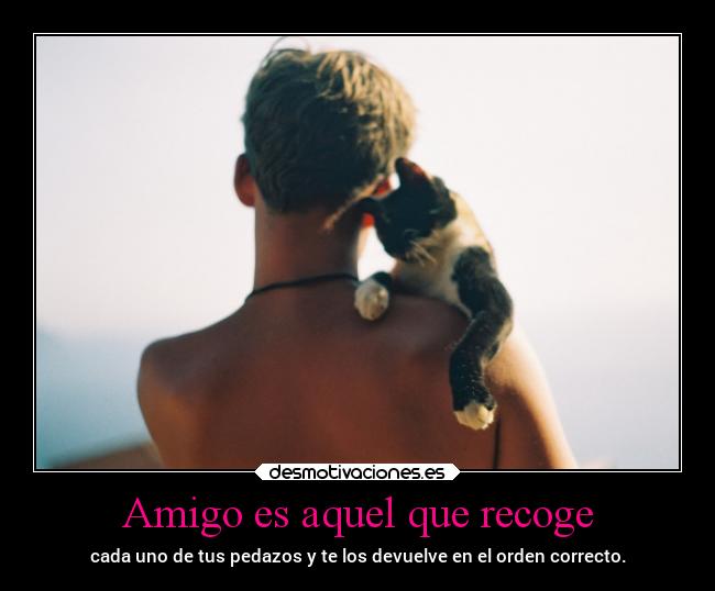 Amigo es aquel que recoge -