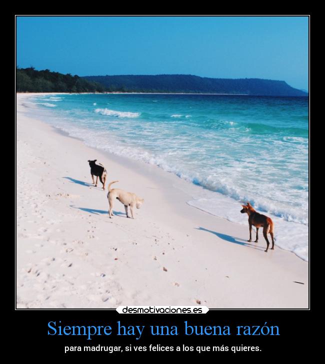 Siempre hay una buena razón - 
