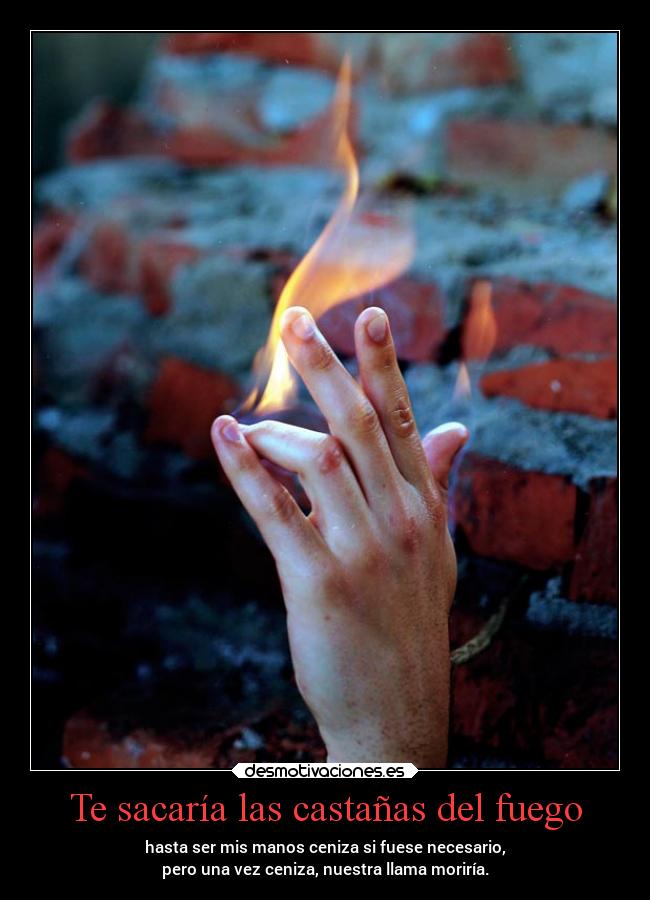 carteles vida pink fuego esto merecuerdaa ainaaa castanas conzdezorra desmotivaciones