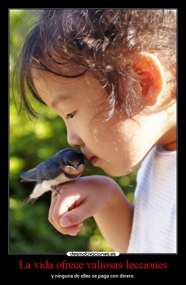 La vida ofrece valiosas lecciones -