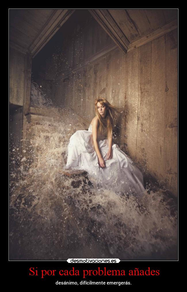 carteles vida seanimoso confiebre desmotivaciones