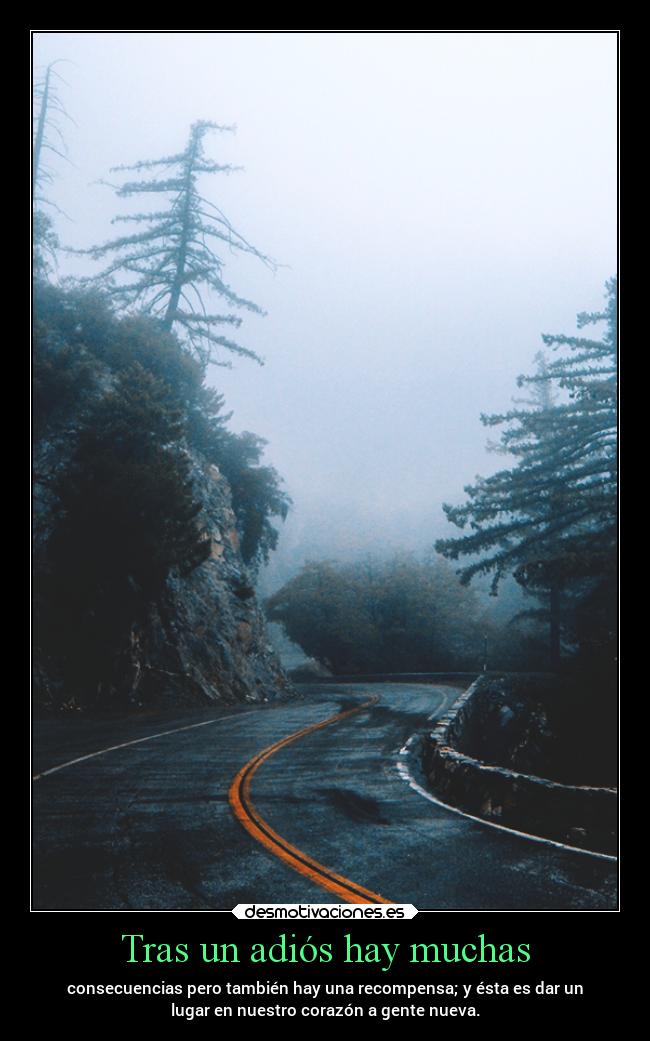 carteles vida storyofmylife adios desmotivaciones