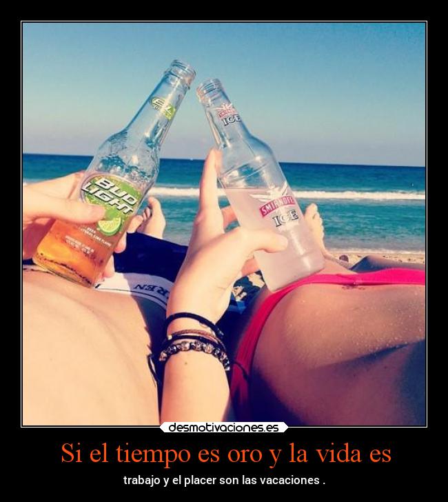 carteles vida verano confianza vida dingoo holidays desmotivaciones