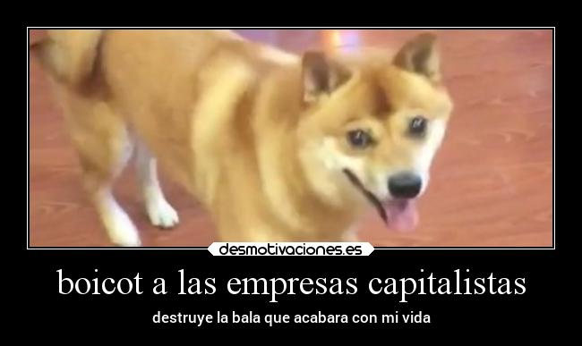 boicot a las empresas capitalistas - 