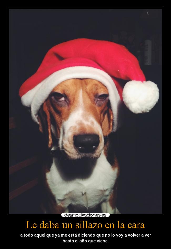 Le daba un sillazo en la cara - a todo aquel que ya me está diciendo que no lo voy a volver a ver
hasta el año que viene.