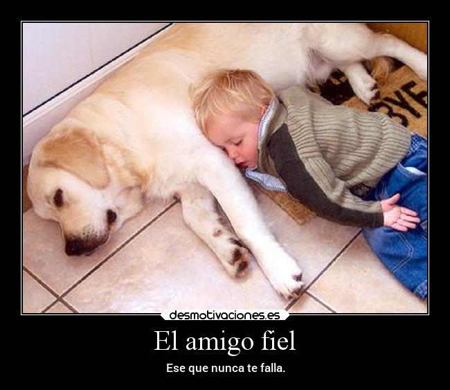 El amigo fiel -