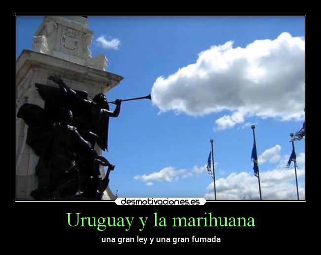 carteles amistad desmotivaciones