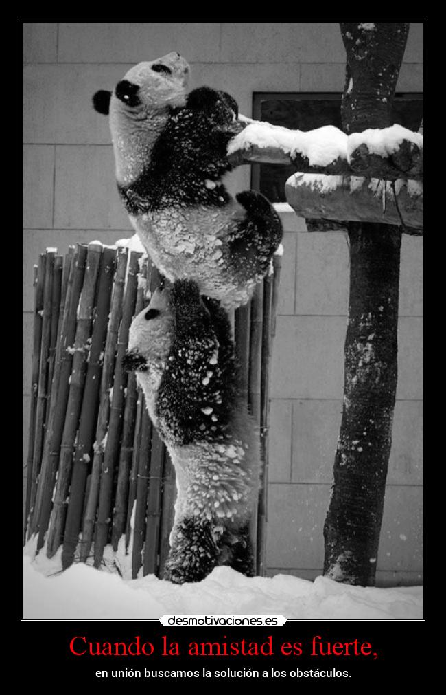 Cuando la amistad es fuerte, -
