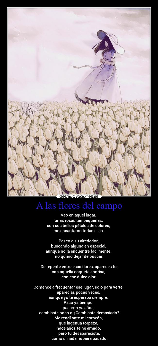 A las flores del campo - Veo en aquel lugar,
unas rosas tan pequeñas,
con sus bellos pétalos de colores,
me encantaron todas ellas.
Paseo a su alrededor,
buscando alguna en especial,
aunque no la encuentre fácilmente,
no quiero dejar de buscar.
De repente entre esas flores, apareces tu,
con aquella coqueta sonrisa,
con ese dulce olor.
Comencé a frecuentar ese lugar, solo para verte,
aparecías pocas veces,
aunque yo te esperaba siempre.
Pasó ya tiempo,
pasaron ya años,
cambiaste poco o ¿Cambiaste demasiado?
Me rendí ante mi corazón,
que ingenua torpeza,
hace años te he amado,
pero tu desapareciste,
como si nada hubiera pasado.