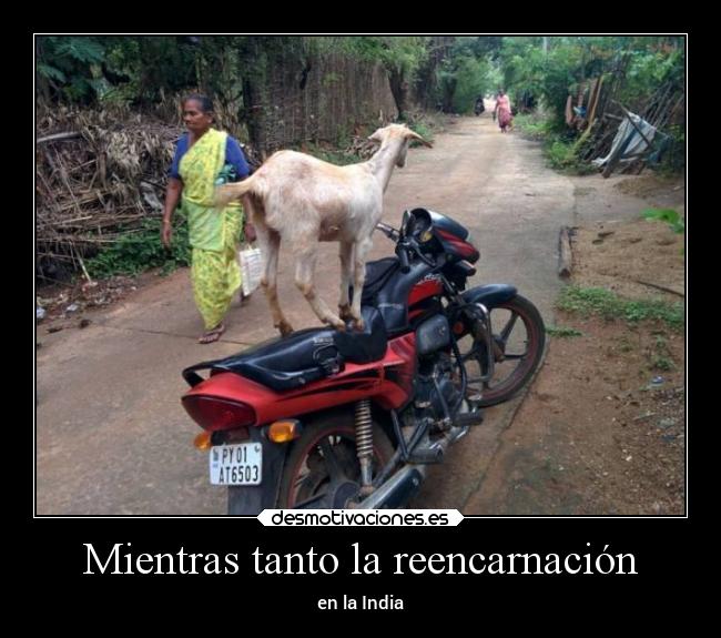 Mientras tanto la reencarnación - en la India