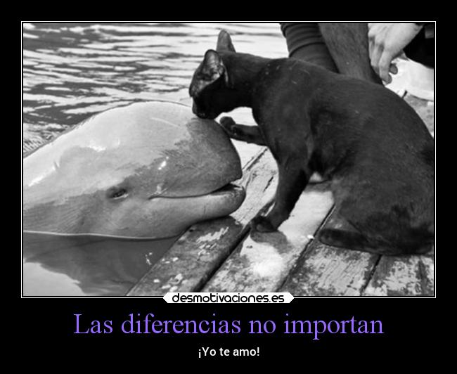 Las diferencias no importan - 