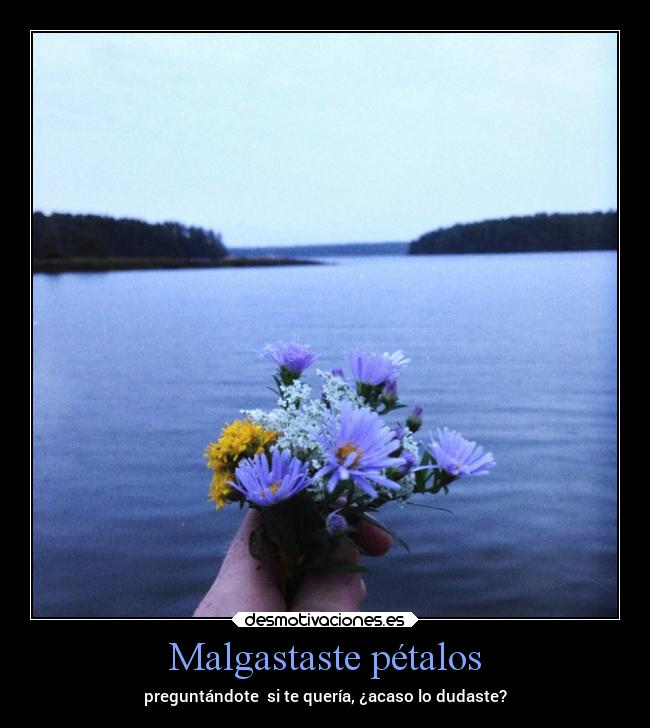 Malgastaste pétalos -