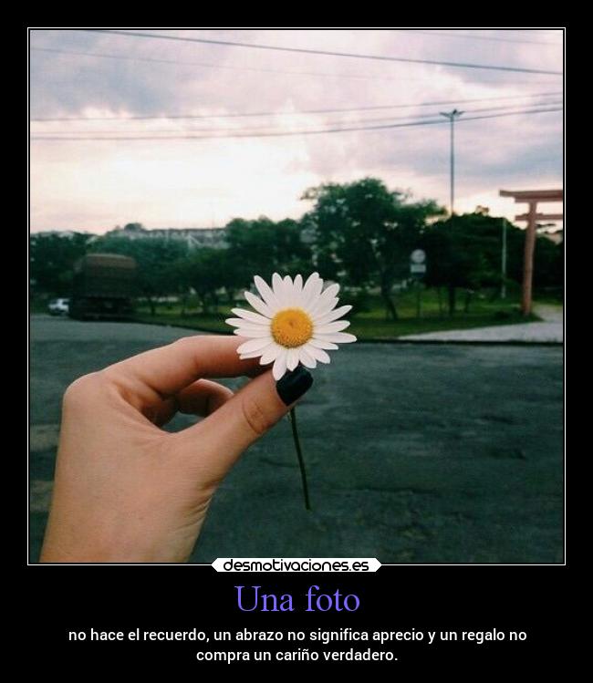 Una foto - no hace el recuerdo, un abrazo no significa aprecio y un regalo no
compra un cariño verdadero.