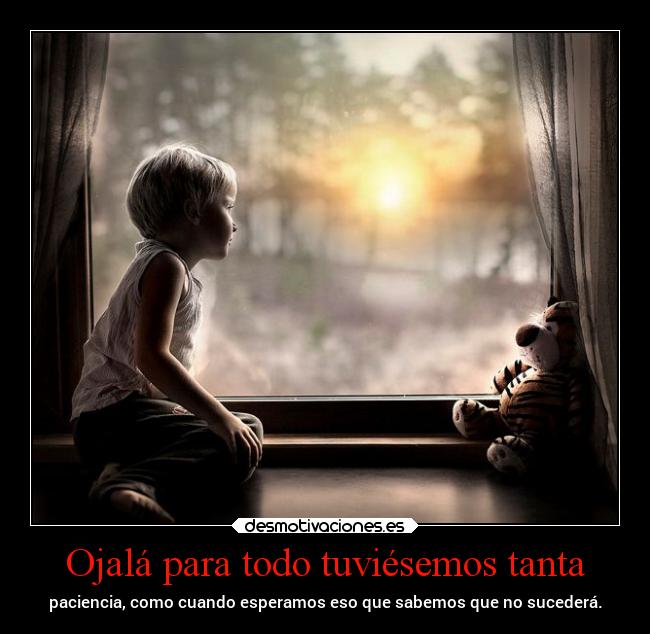Ojalá para todo tuviésemos tanta -