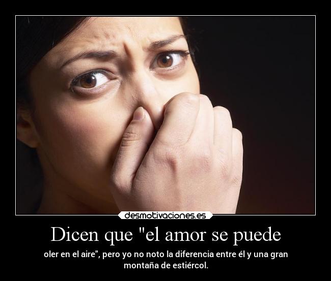 Dicen que el amor se puede - 