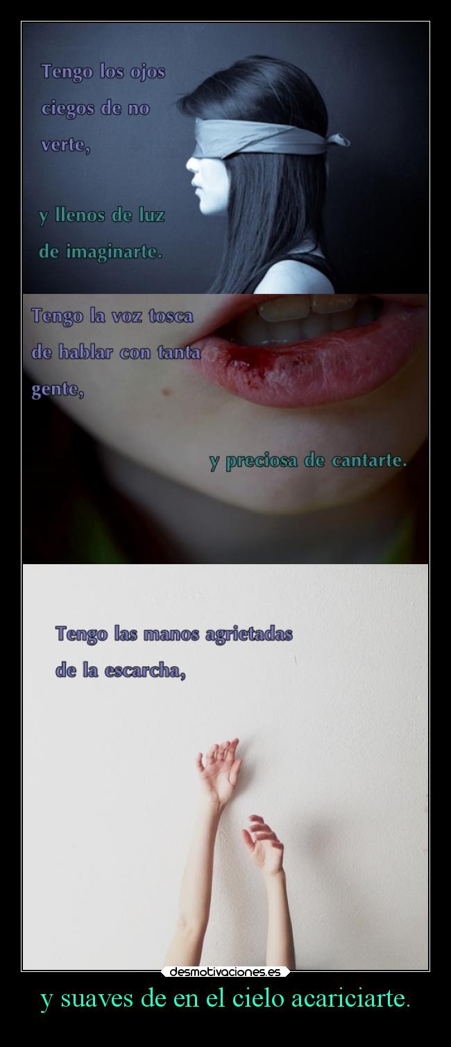 carteles amor visa rojitas las orejas extrechinato ytu nadie merece que lodedique sorry conzdezorra desmotivaciones