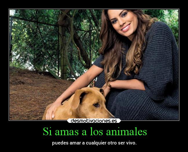 carteles animales animales amor arte adriadna gutierrez mileydesmotivacionesmedina los desmotivaciones