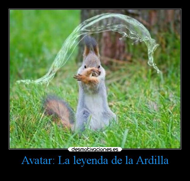 Avatar: La leyenda de la Ardilla - 