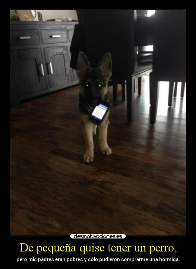 De pequeña quise tener un perro, -