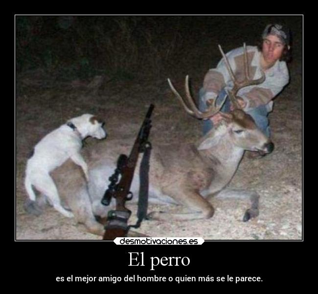 El perro - 