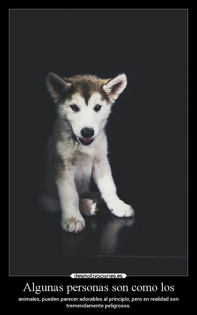 Algunas personas son como los - 