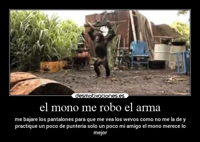 el mono me robo el arma -