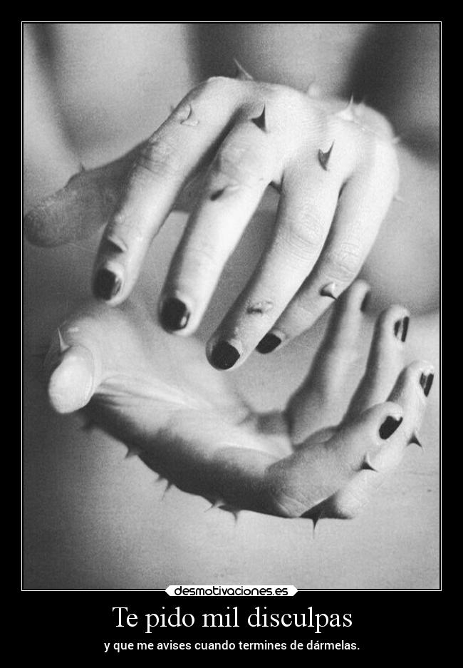 Te pido mil disculpas -