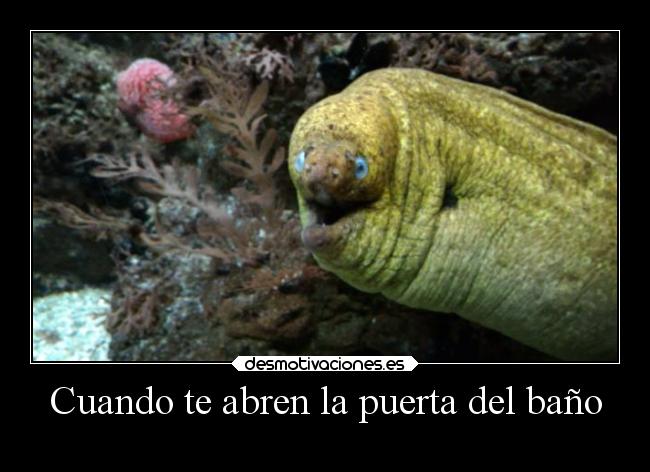 Cuando te abren la puerta del baño - 
