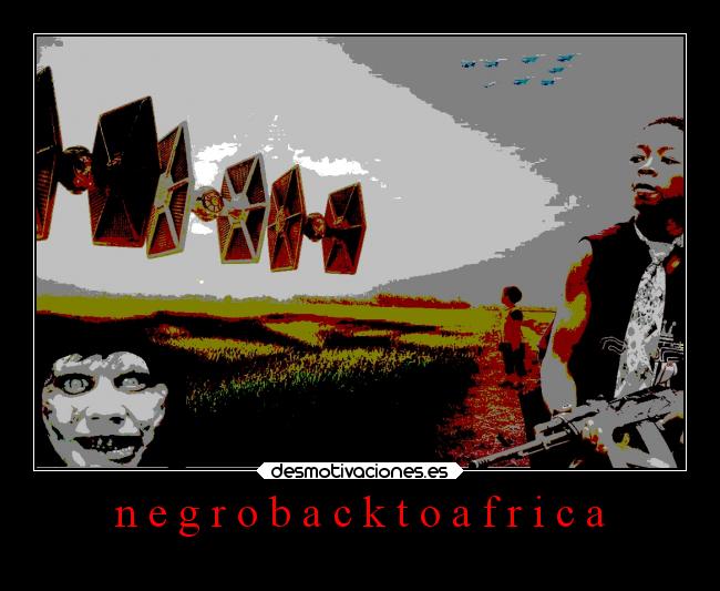 n e g r o b a c k t o a f r i c a -