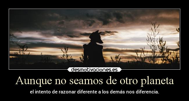 carteles arte zorro razonar personas desmotivaciones