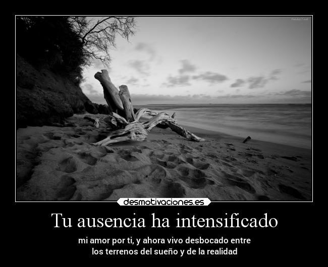 Tu ausencia ha intensificado - mi amor por ti, y ahora vivo desbocado entre
los terrenos del sueño y de la realidad