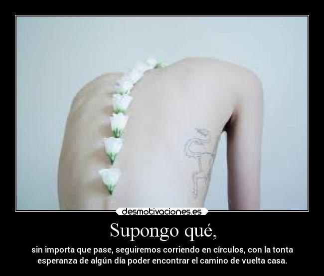 Supongo qué, - sin importa que pase, seguiremos corriendo en círculos, con la tonta
esperanza de algún día poder encontrar el camino de vuelta casa.