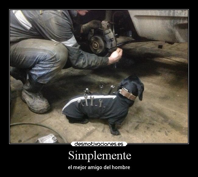 Simplemente - 