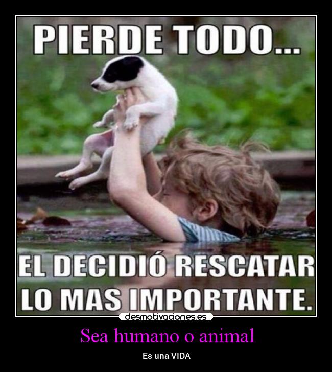 Sea humano o animal -