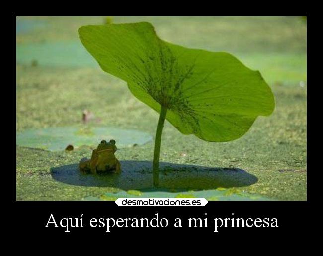 Aquí esperando a mi princesa - 