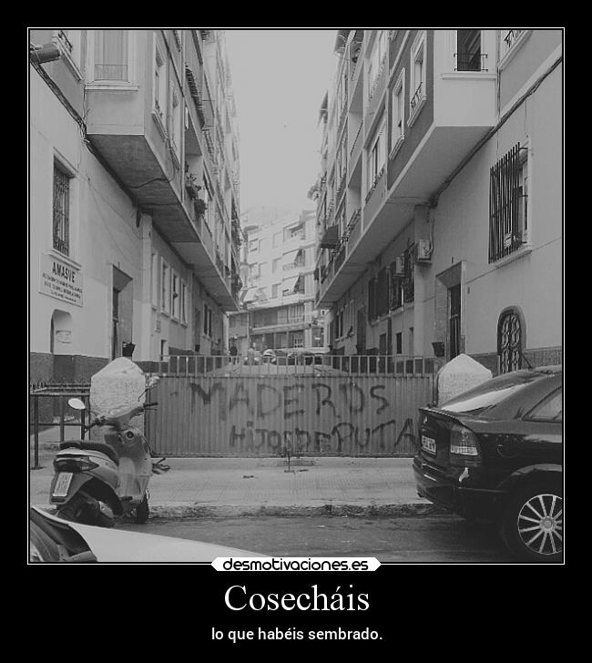 Cosecháis - 