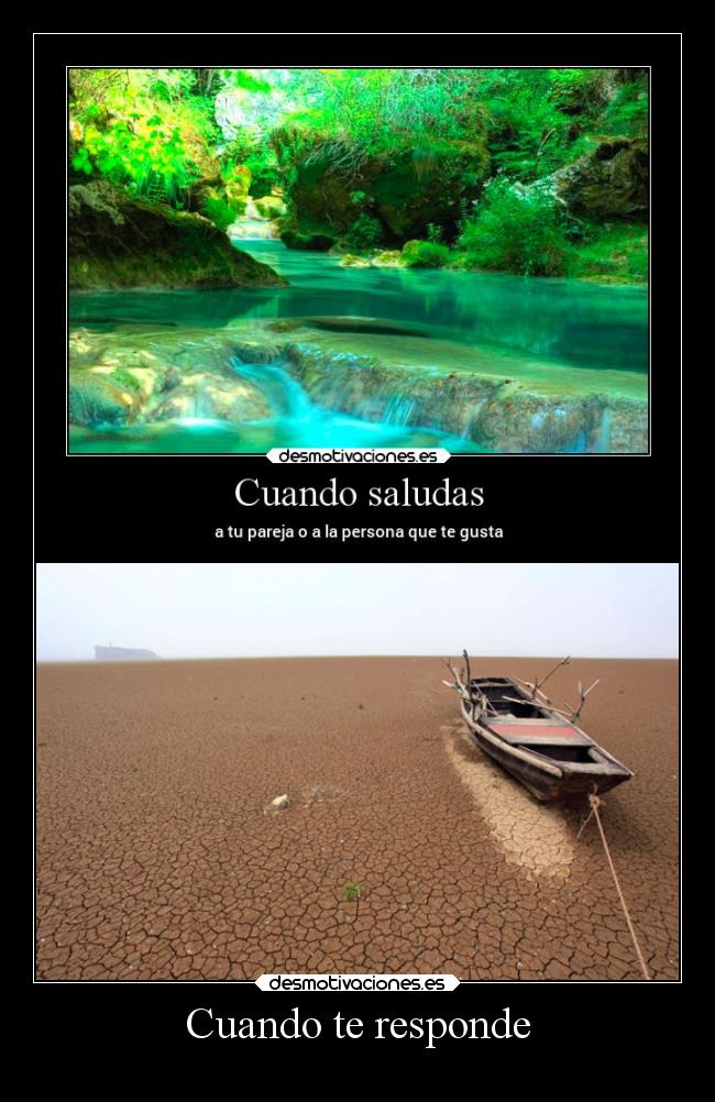 Cuando te responde -