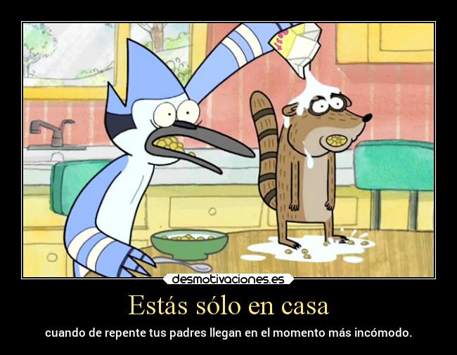 Estás sólo en casa -