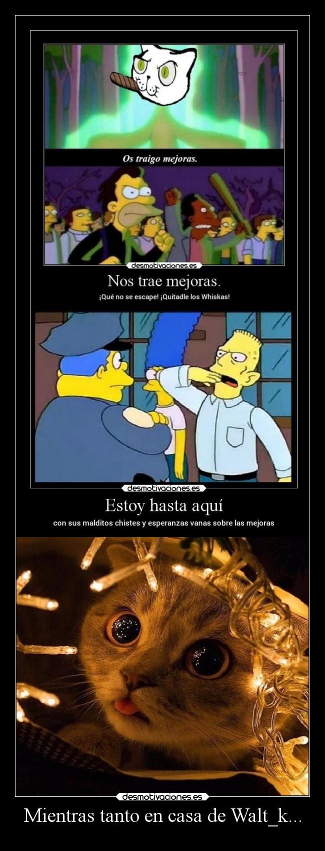 Mientras tanto en casa de Walt_k... -