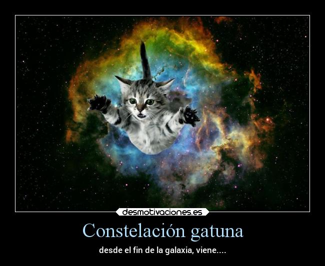Constelación gatuna -