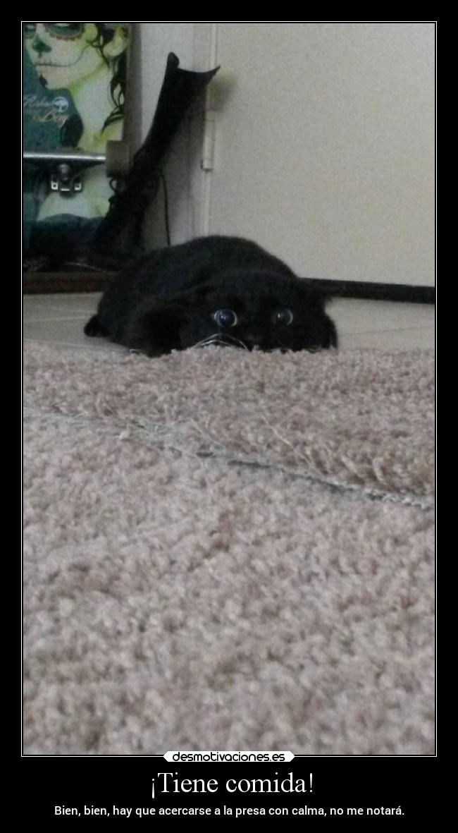 ¡Tiene comida! -