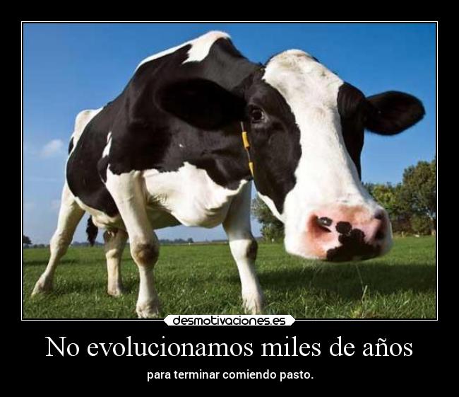 No evolucionamos miles de años -