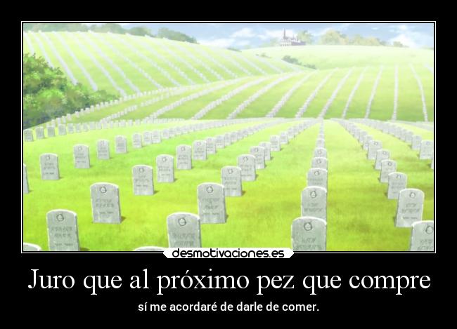 Juro que al próximo pez que compre -