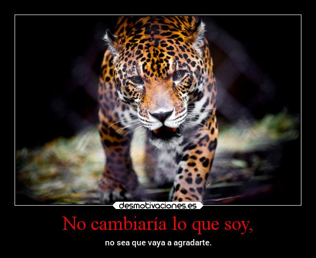 No cambiaría lo que soy, - 