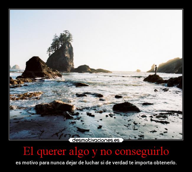 carteles confianza desmotivaciones