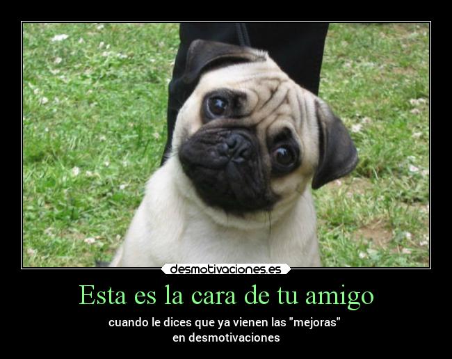 Esta es la cara de tu amigo - 