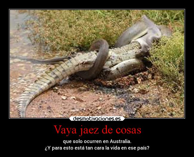 carteles desmotivaciones australia serpientes cocodrilos peligro desmotivaciones