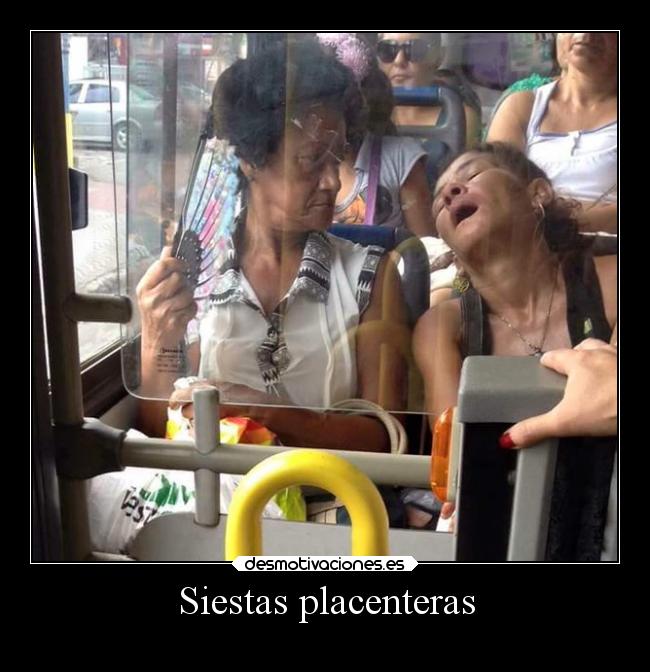 Siestas placenteras - 