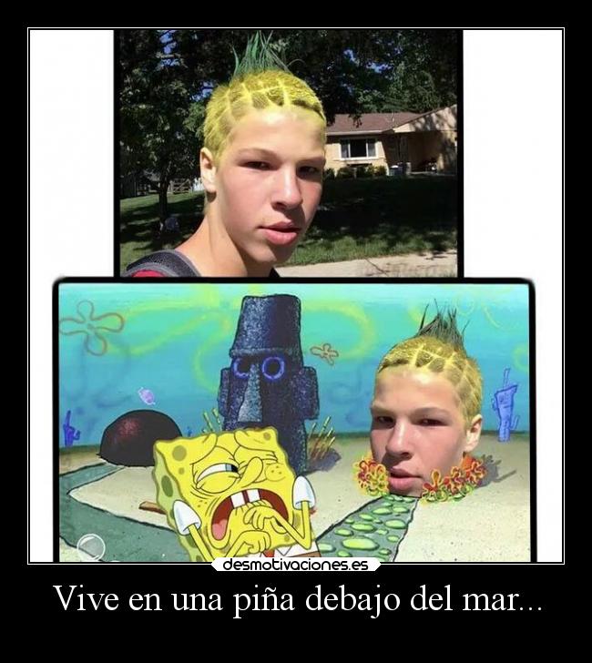 Vive en una piña debajo del mar... -