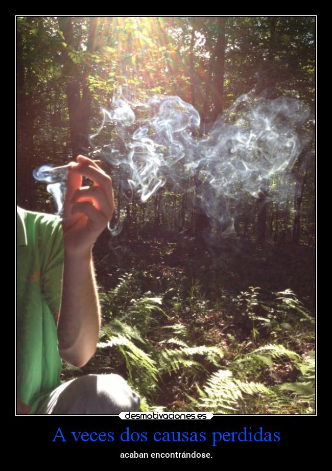 carteles desmotivaciones elcelebrodelmoha 13y15 clanhumo frase desmotivaciones